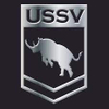 USSV 汽车标志 PVD ​​涂层和抛光