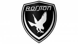 Rossion 汽车标志 PVD ​​涂层和抛光