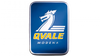 Qvale 汽车标志 PVD ​​涂层和抛光