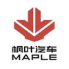 枫木汽车标志 PVD ​​涂层和抛光
