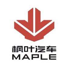 枫木汽车标志 PVD ​​涂层和抛光
