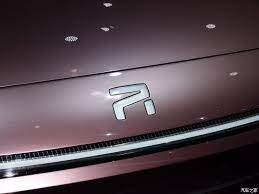 Rising auto车标PVD涂层和抛光