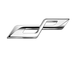 Bac 汽车标志 PVD ​​涂层和抛光