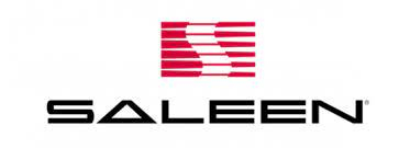 Saleen 汽车标志 PVD ​​涂层和抛光